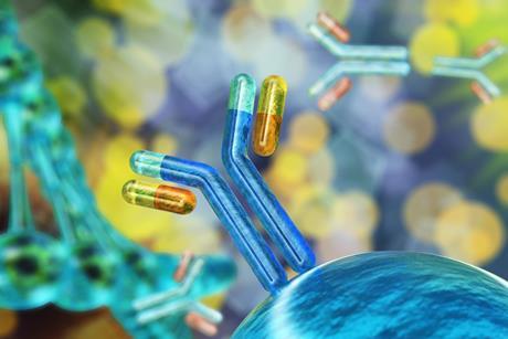 shutterstock_2530482803