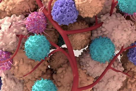 Tumor,Microenvironment,,Normal,Cells,,Molecules,,And,Blood,Vessels,That,Surround