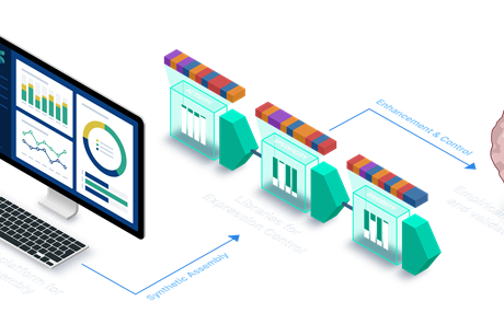 Syngensys infographic Landscape Transparent