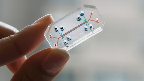 Lung-on-a-Chip illuminated by natural light