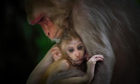 usher-syndrome-image