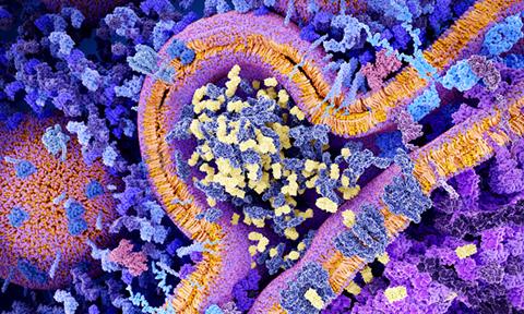 CAR-T-cell-therapy-image