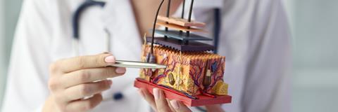 Close-up,Of,Female,Dermatologist,Holding,Artificial,Model,Of,Human,Skin