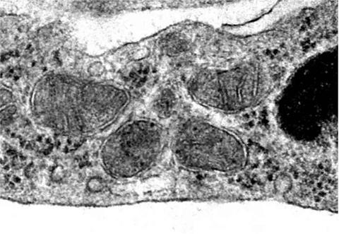 Low-Res_22Qstudy2025