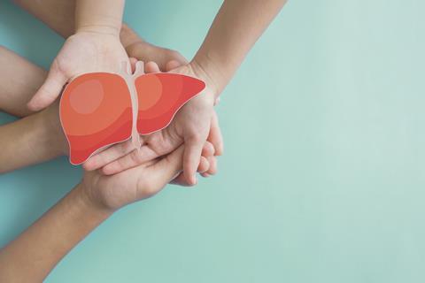 Hands,Holding,Healthy,Liver,,Organ,Donation,,Hepatitis,Vaccination,,Liver,Cancer