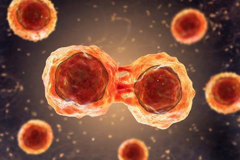 Dividing,Stem,Cells,,3d,Illustration.,Research,And,Scientific,Background