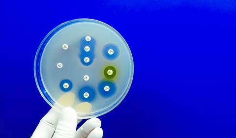 Antimicrobial,Susceptibility,Testing,In,Petri,Dish.,Antibiotic,Resistance,Of,Bacteria