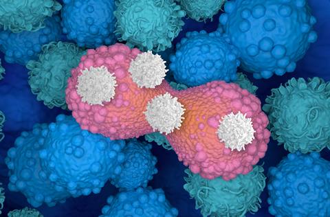 T-cells,Attack,Dividing,Breast,Cancer,Cell,3d,Illustration