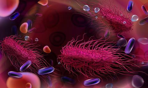 salmonella-image
