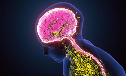 sympathetic-nervous-system-image