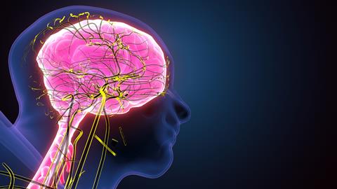 3d,Illustration,Of,Human,Brain,Nervous,System,Medical,Illustration,Diagram