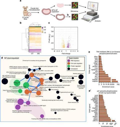 Low-Res_IJOSB_49_3_Picture