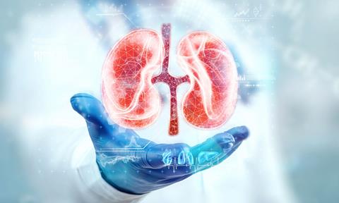 kidney-disease-image