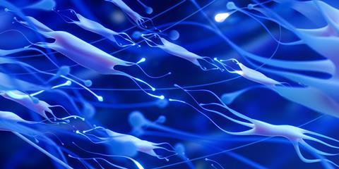 Fibroblasts