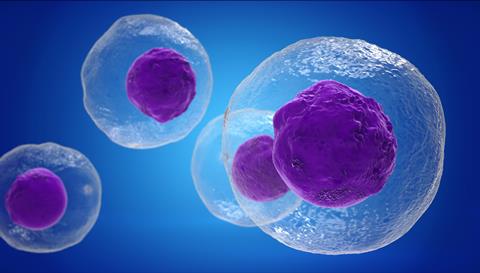 T,Cells,Attacking,Cancer,Cells,,3d,Illustration