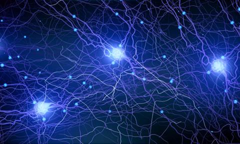 brain-activity-image