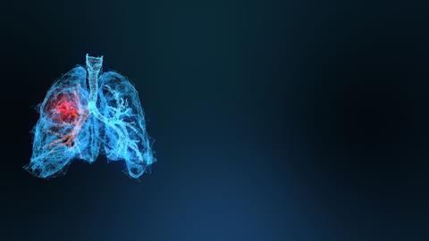 AdobeStock_296280111