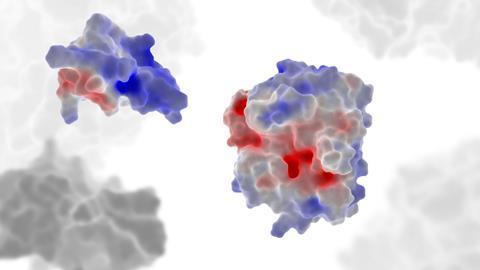3d,Illustration:,Protein,Protein,Interaction