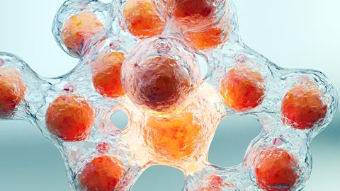 Weight,Loss.,Fat,Burn,In,Human,Tissue,,Adipose,Connective,Tissue,