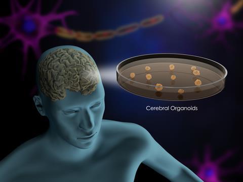 shutterstock_1345570025