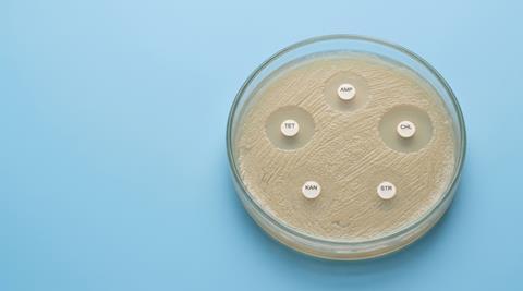 Petri dish showing bacterial growth and five antibiotic discs, with clear zones around some discs indicating inhibited bacterial growth.
