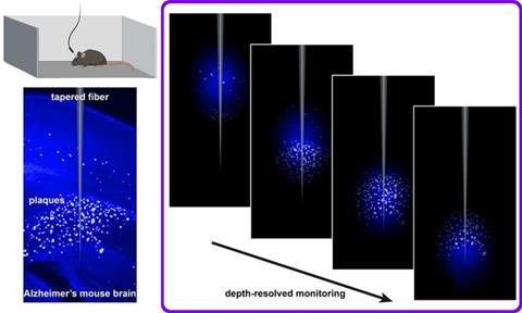 Low-Res_photometry Alzheimers - 1000