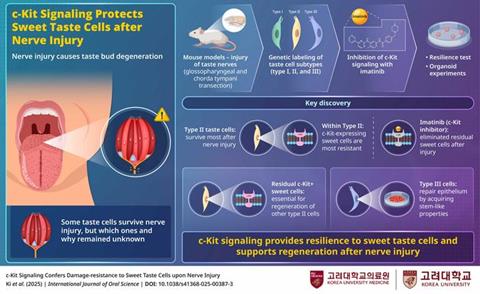 Low-Res_KORME_47_5_KORME_47_4_Infographic_11_Sep_2025