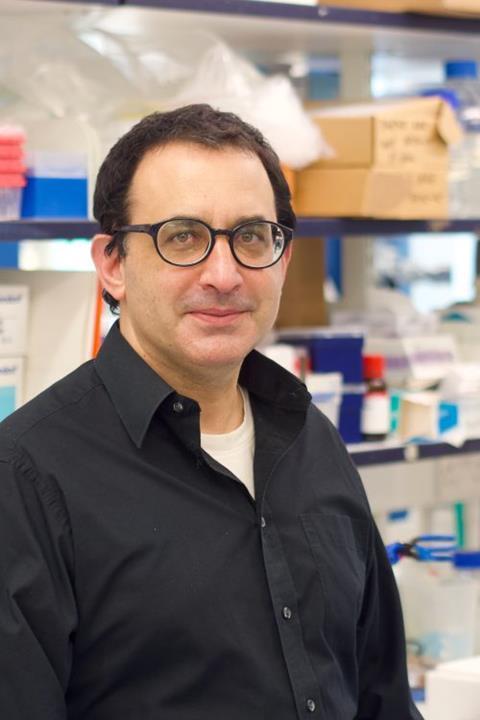 Elad_Katz
