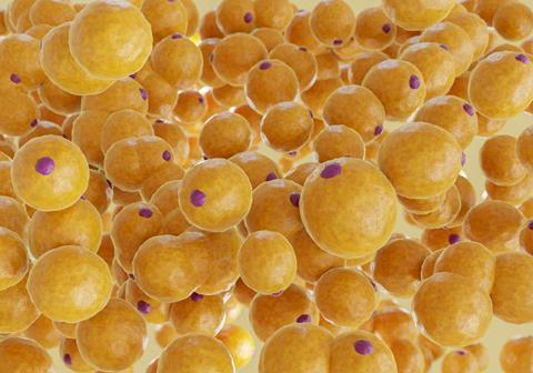 A,Cluster,Of,Fat,Cells.,3d,Rendering.