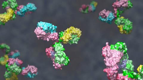 Bispecific,Antibody,Colored,Heavy,Chain,In,Green,And,Pink,,Light