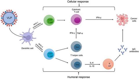 Low-Res_jerp-2025-00020-g006