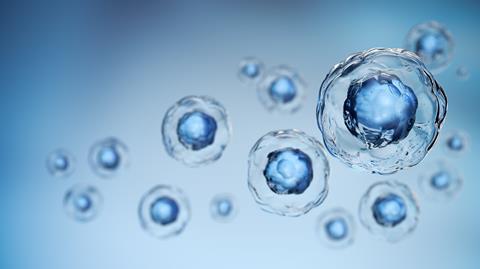 shutterstock_2523956629