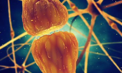 neurotransmitter-receptor-image