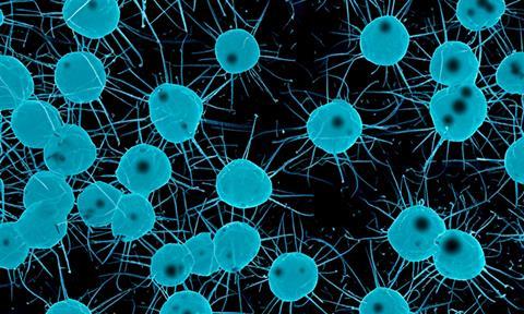 antibiotic-resistance-image