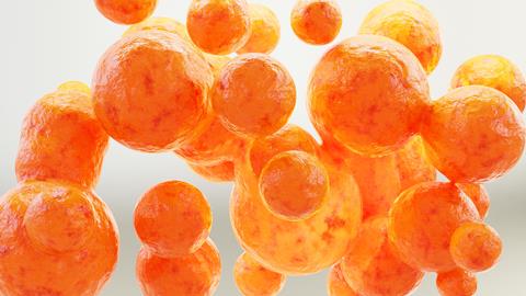 Fat,Cells,,Adipocyte,And,Lipocyte,,Cholesterol,In,A,Cells,,White