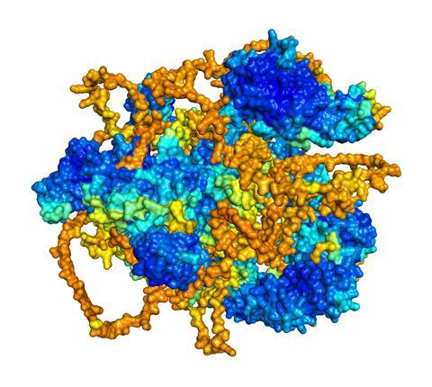 Predicted 3D structure of HECTD1, a human E3 ubiquitin ligase, shown as a molecular surface model.