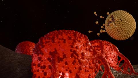 shutterstock_2652867949 (1)