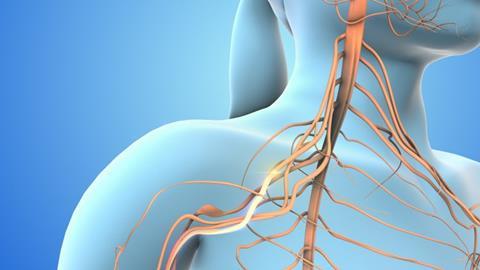 shutterstock_2455584773-750x422