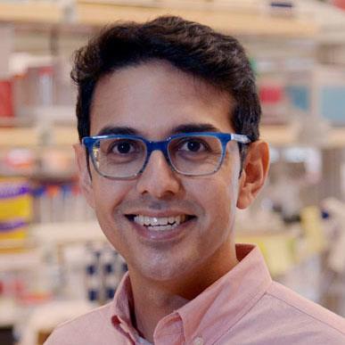 Neville_Sanjana_headshot_medium_Sept2016