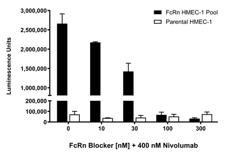 Fig2-right FcRn blocker