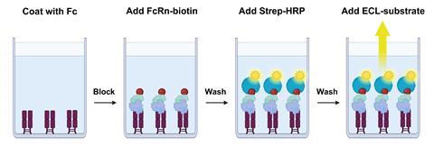 Fig3 illustration assay kit