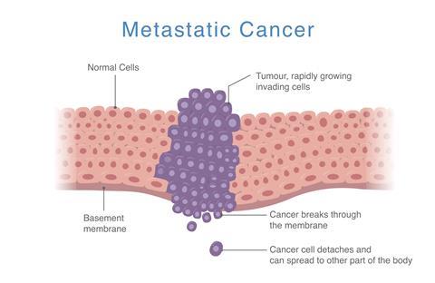 shutterstock_2137844191