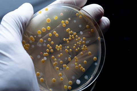 Hidden bacterial compounds reveal potential cancer drug leads