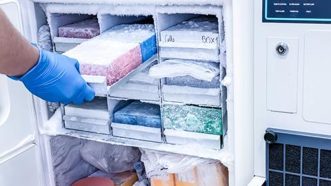 A,Scientist,Removing,Frozen,Samples,From,Z,Freezer.