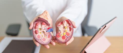 Doctor,With,Kidney,Adrenal,Gland,Anatomy,Model,And,Tablet.,Disease