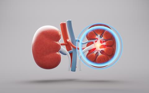 Kidney,Organ,,Diseases,And,Medical,Concept,,3d,Rendering.,3d,Illustration.