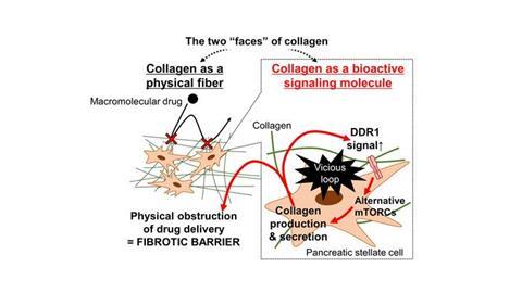 Low-Res_OKYAU_127_2_OKYAU_127_Image