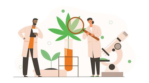 Male,And,Female,Scientists,In,Uniform,Are,Analyzing,Cbd,Hemp