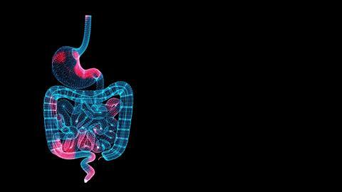 3d,Gastrointestinal,Tract,Scan.,Organ,Scanning,Interface.,Hud,Stomach,Analyze.