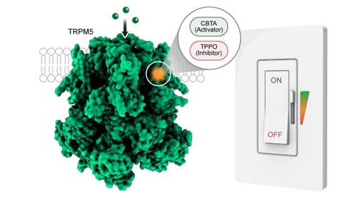 Low-Res_Screenshot 2026-01-05 at 10.53.06?AM